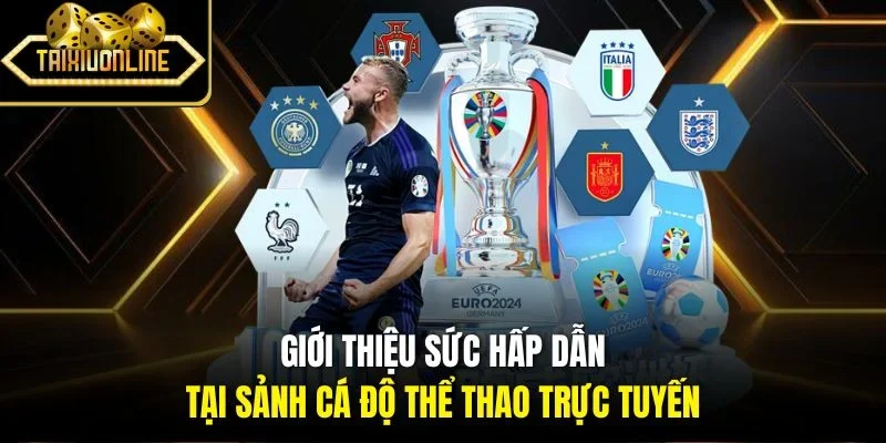 Giới thiệu sức hấp dẫn tại sảnh cá độ thể thao trực tuyến 