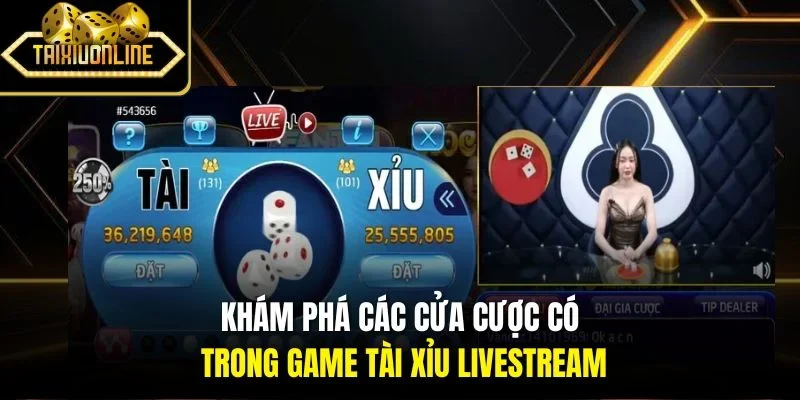 Khám phá các cửa cược có trong game tài xỉu livestream